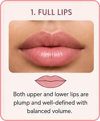 Portrait illustrating the Lip Shape style category